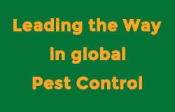 PelGar - Leading the Way in global Pest Control